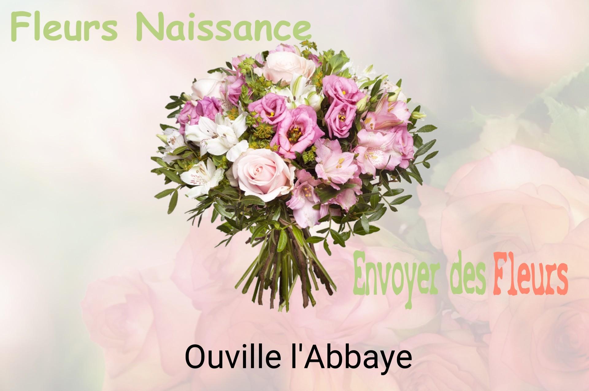 Bouquet de fleurs de naissance livré à Ouville-l'Abbaye